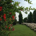 Bed & Breakfast La Vedetta Con Ristorante E Acetaia 4*