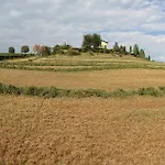 La Vedetta Con Ristorante E Acetaia