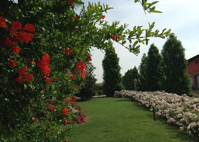 B&B La Vedetta Con Ristorante E Acetaia 4*