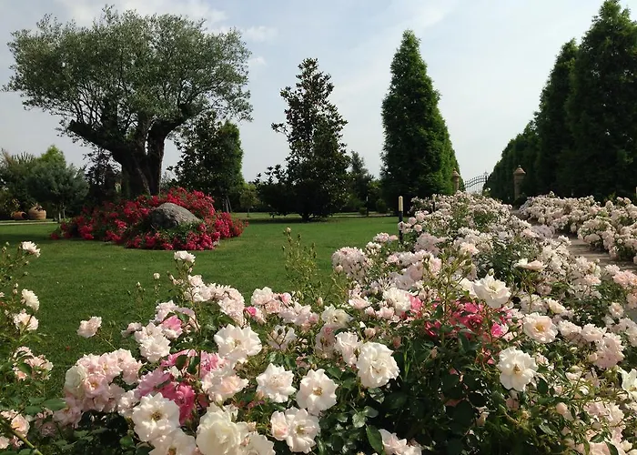 韦德塔住宿加早餐旅馆 卡泰维托莫顿