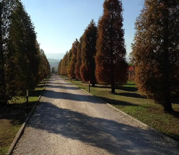 La Vedetta Con Ristorante E Acetaia B&B 4*